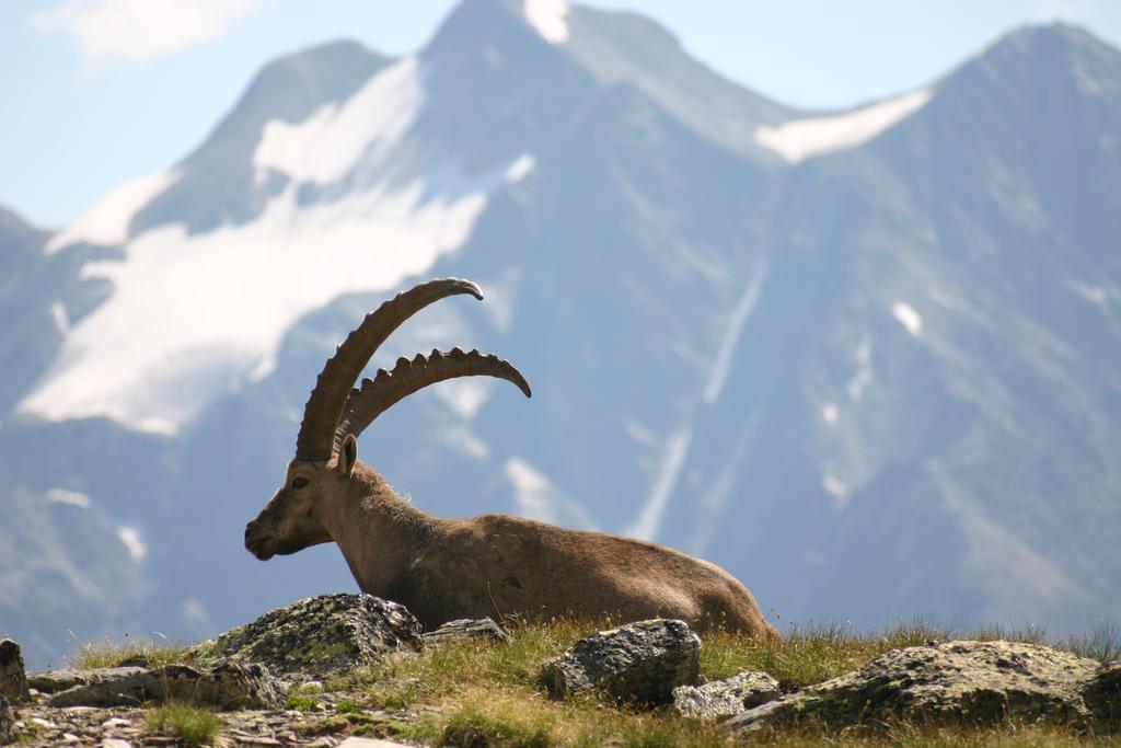 Appartamento S'Huamatl Sankt Leonhard im Pitztal Esterno foto